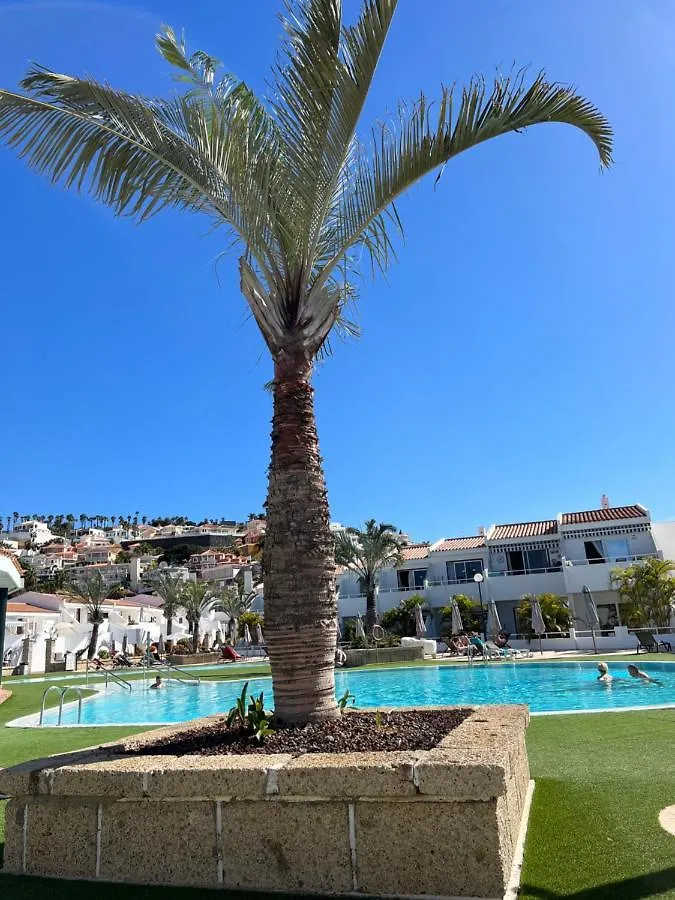 Lovely Sunny Apartment Costa Adeje  0*, Costa Adeje (Tenerife) Spain
